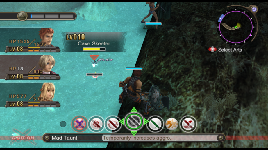 Reyn overlooking the lake from above. Shulk, nearly dead, is fighting the Cave Skeeter on his own far below.